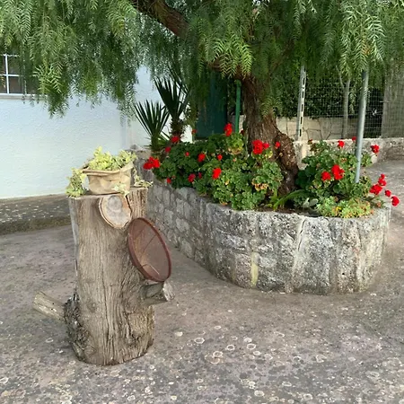 Trullo Da Grazia Semesterbostad Ostuni